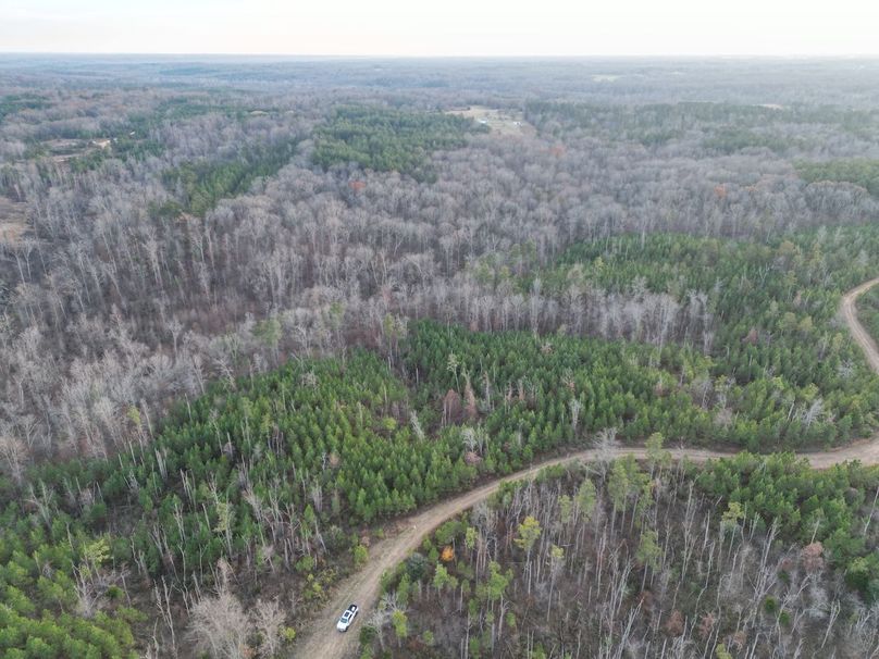 dji_fly_20231130_052536_271_1701905203437_photo