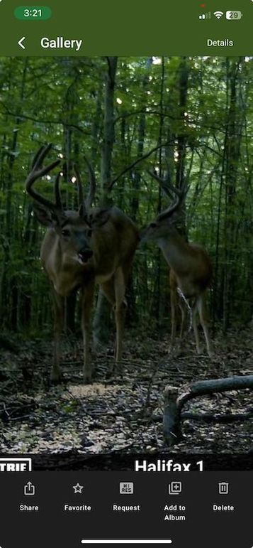 Screenshot 2025-08-18 at 3.21.09 PM