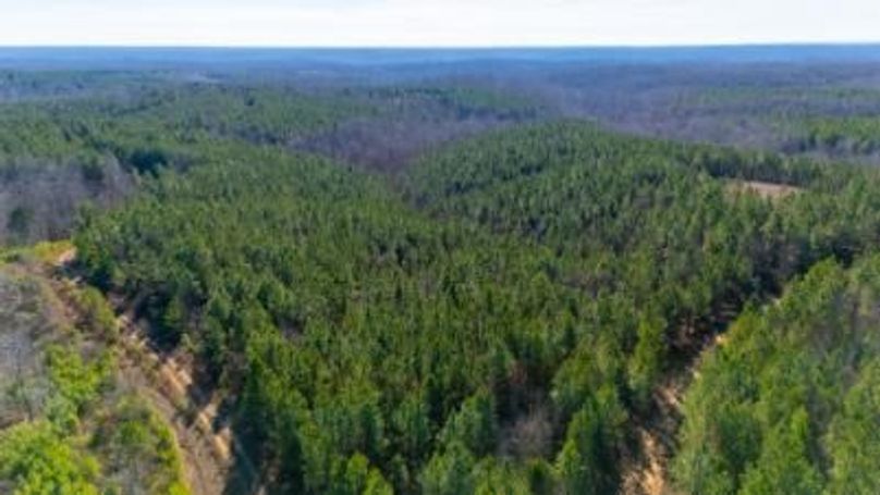 MCKINNON TRACT 19-16