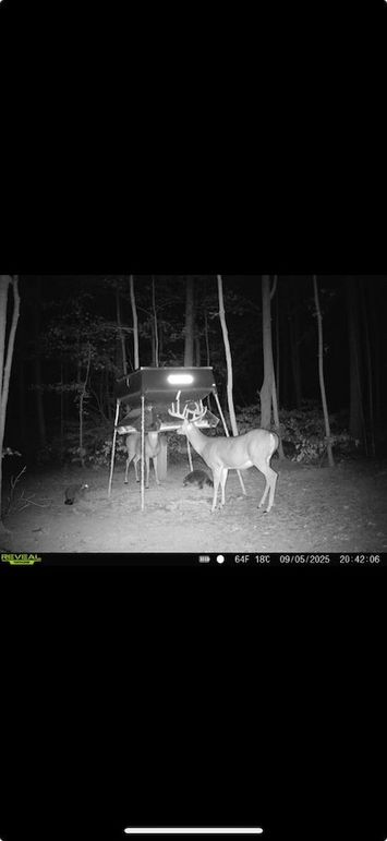 Screenshot 2026-01-09 at 12.48.38 PM