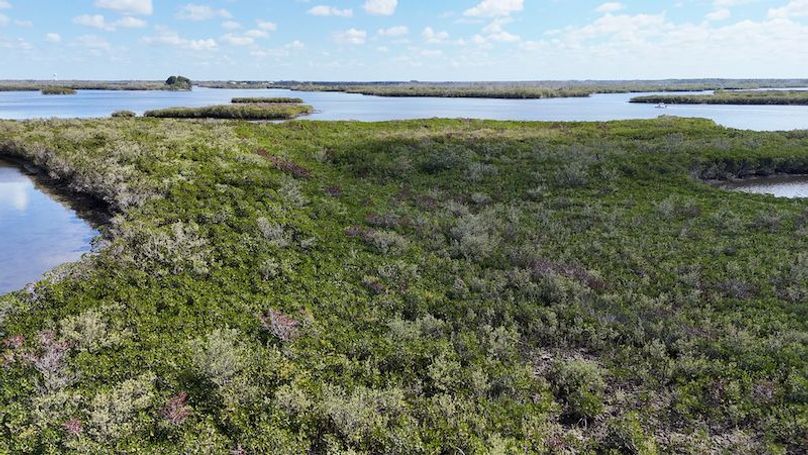 17.17ac, Citrus, Josiah Ronco19