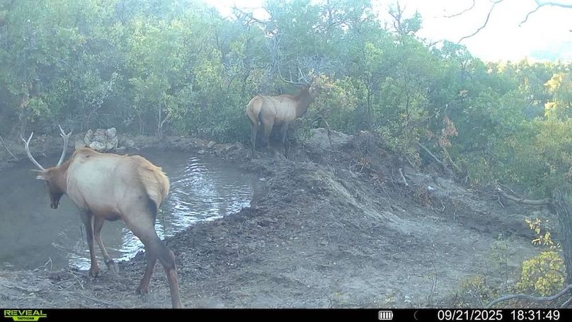 016578004083249-77-2-09212025183149-V-SYFW00329