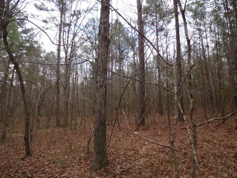 114DBB25-C5BF-4AD8-92E9-76153FAAC1D7