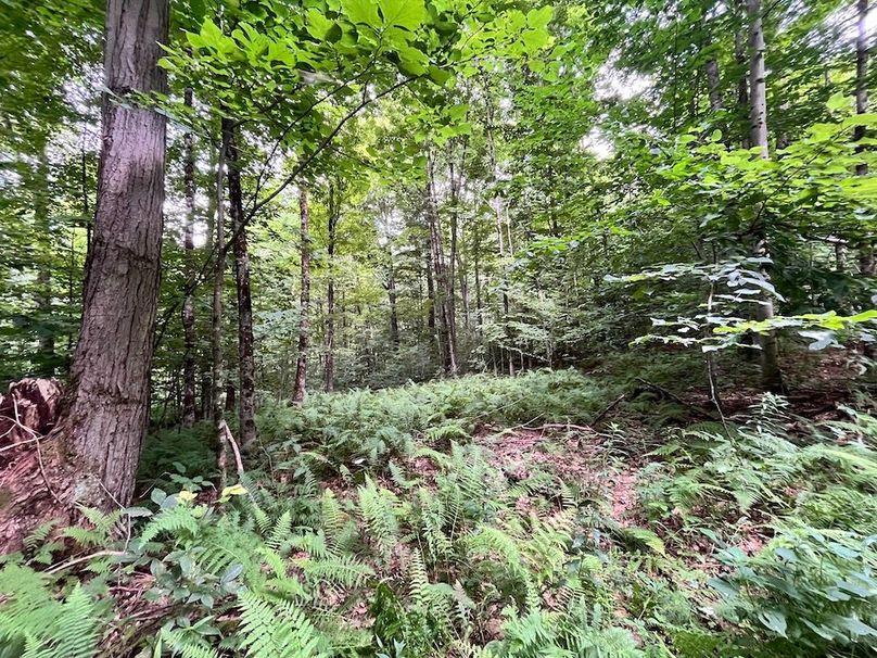 Oswego_133.72_Middleton_Photos_17