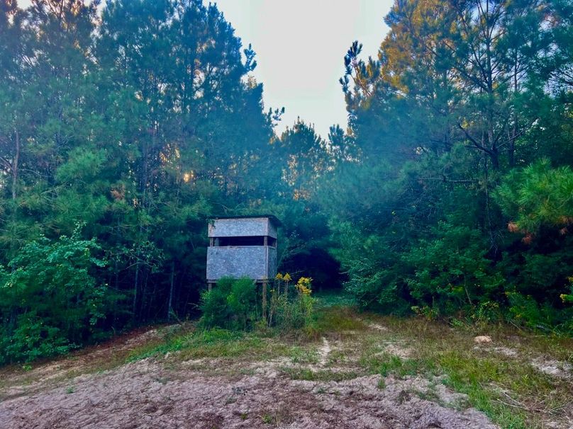 D3C3F3B6-686B-4CE5-983B-8C4B4AD51B92_1_201_a