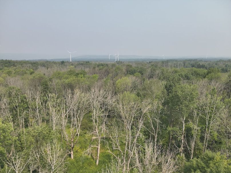 7 DJI_20250804112814_0001_V