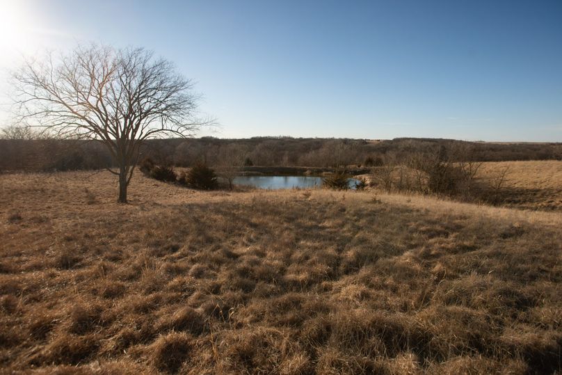 WORTH CO MO 537.44_87