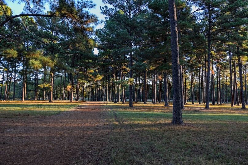 62 harrison 417ac pics-042