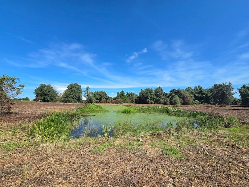 21ac, Sumter, Reelvest37