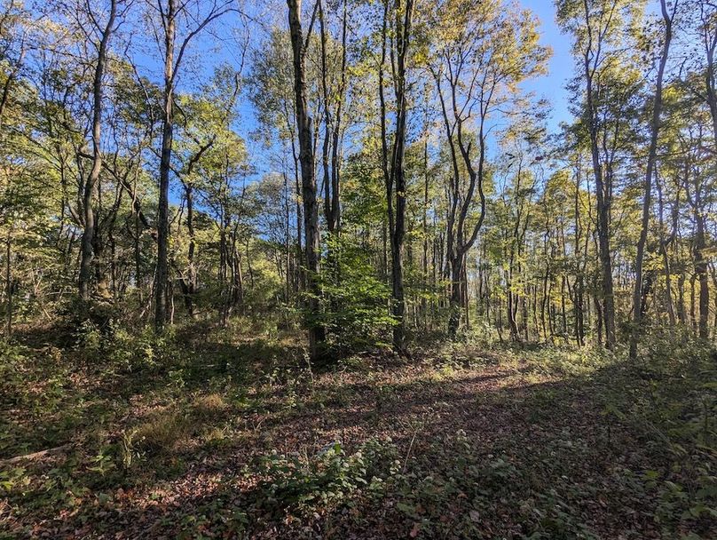 PXL_20251001_211142711