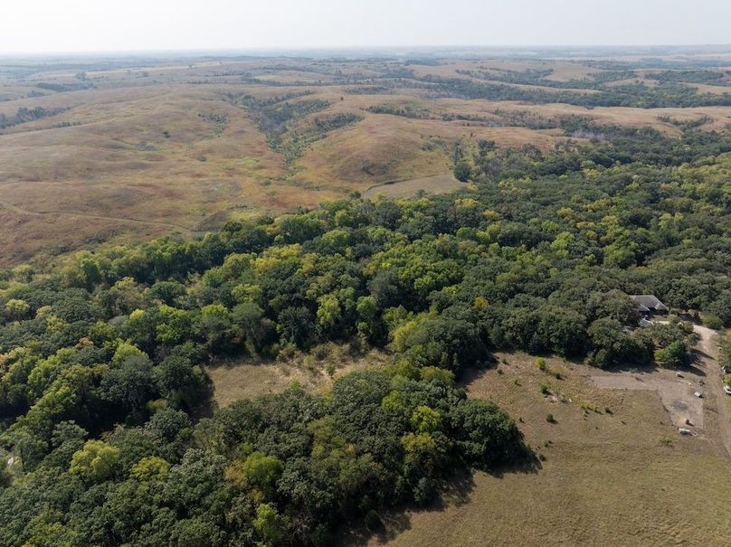 20240913-DJI_20240913105656_0129_D