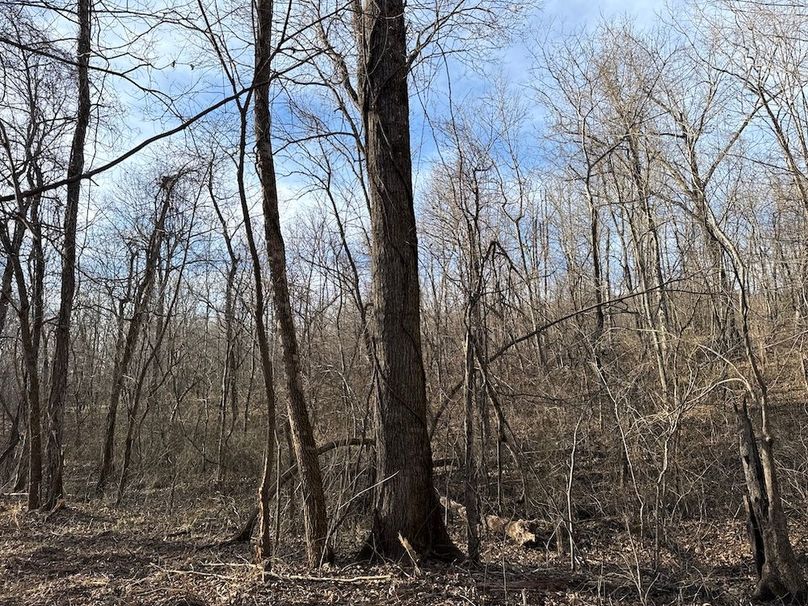 DJI_20260113_153713_307