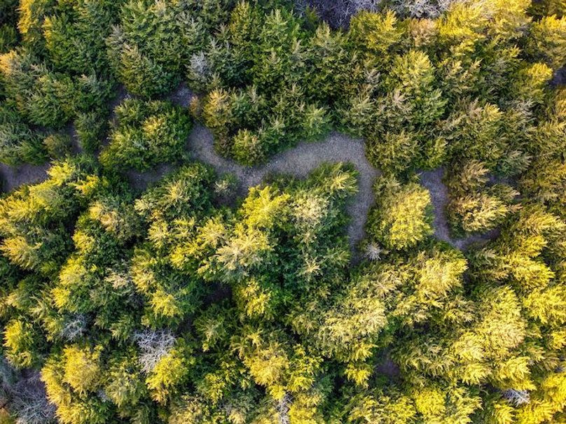 DJI_20251220161135_0143_D