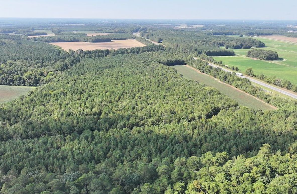 DJI_20250911023649_0310_D