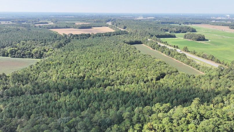 DJI_20250911023649_0310_D