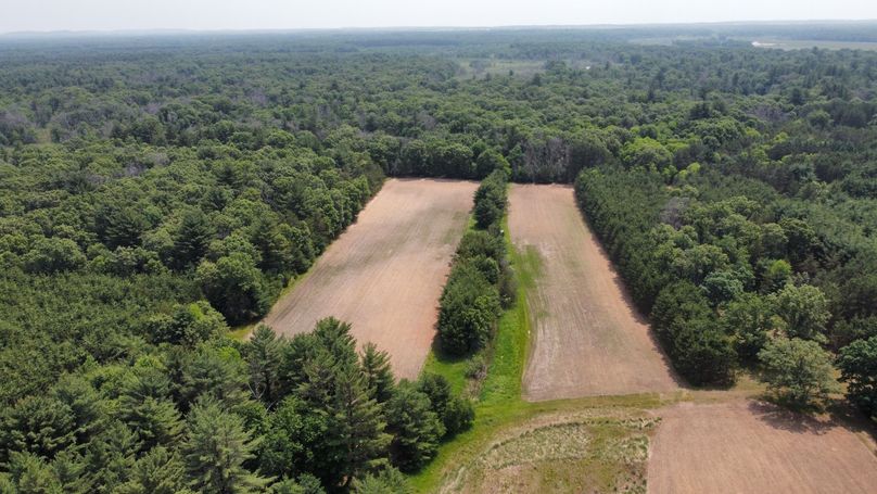 dji_fly_20230610_115010_584_1686416631016_photo_optimized