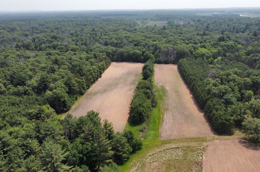 dji_fly_20230610_115010_584_1686416631016_photo_optimized