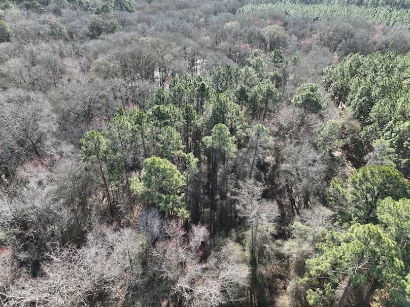 dji_fly_20240207_103230_29_1707320836814_photo