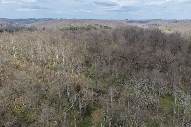 DJI_20260330151001_0011_D