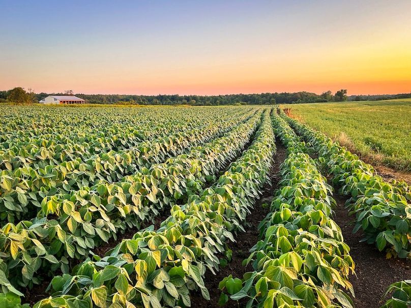 Copy of Wood Main Listing Photo 10