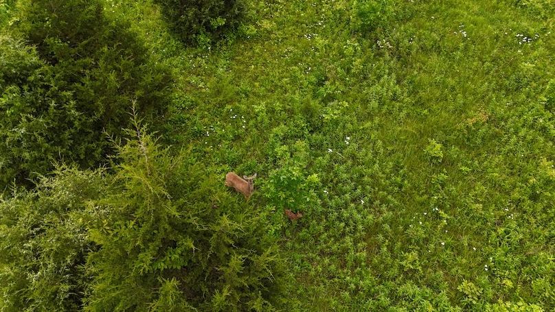 DJI_20250605132320_0662_D