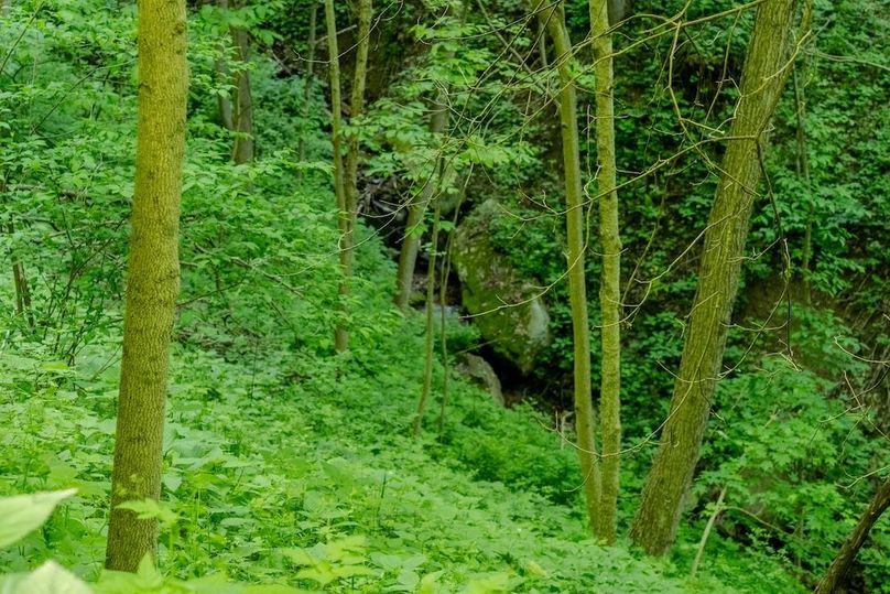 untitled-25
