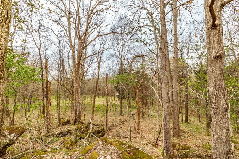 29-web-or-mls-Wolf Hill-7