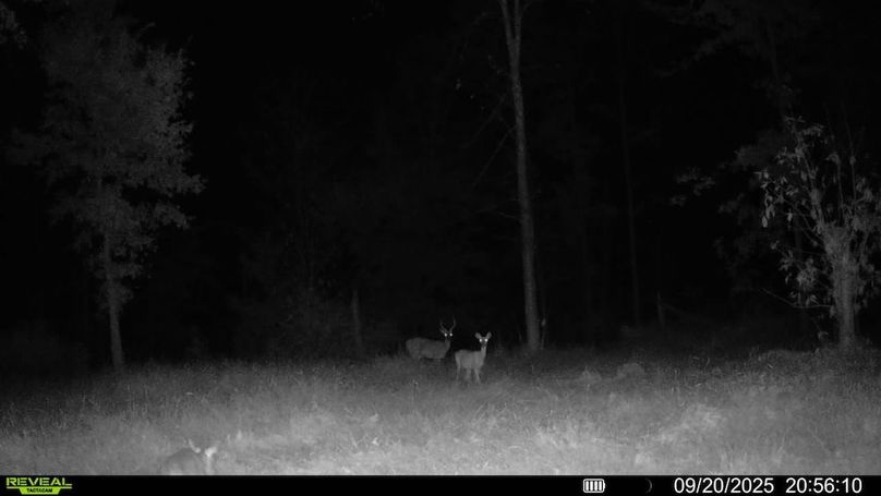 016578004352834-93-4-09202025205610-SYFW00208