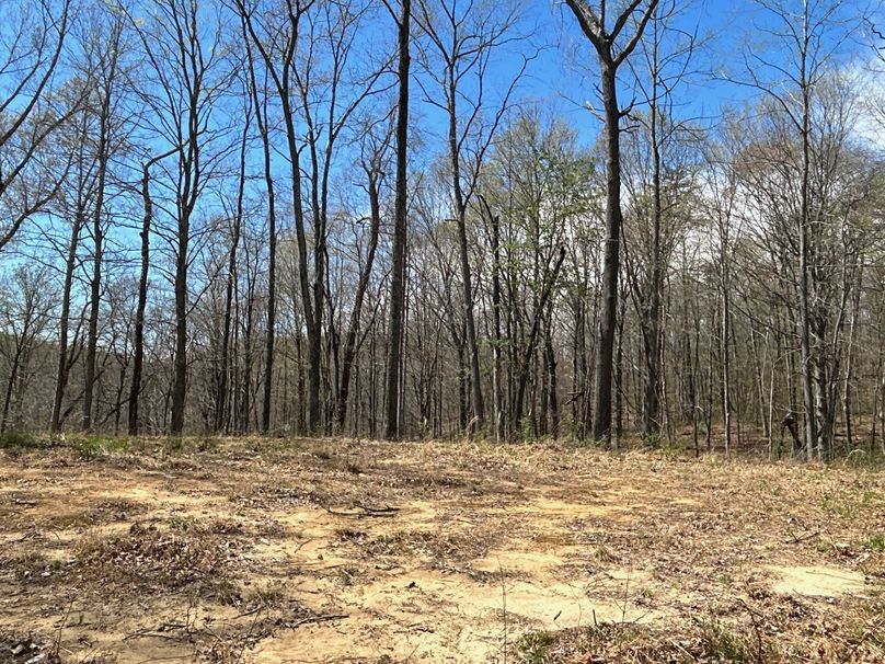 image6