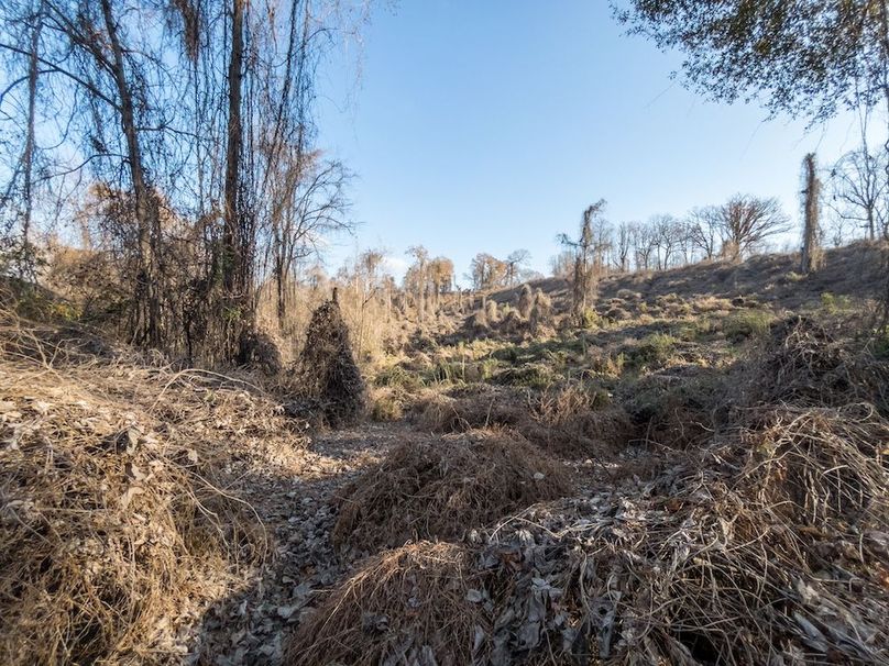 Yazoo Co - 75 - Batton-20