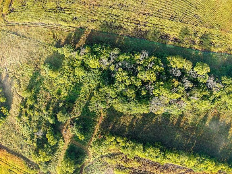 DJI_20250906082150_0089_D