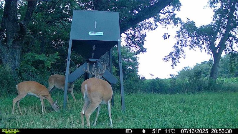 TRAIL CAM 5