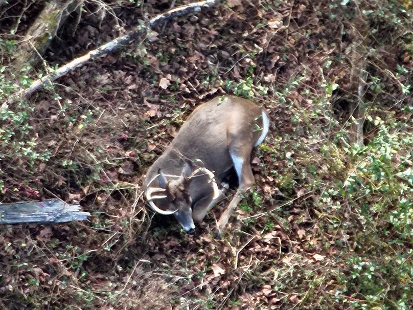 2-DJI_20251201124610_0004_Z