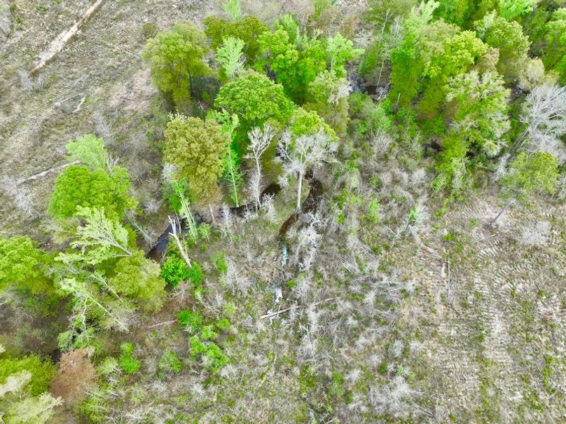dji_fly_20250403_152222_666_1743708454754_photo
