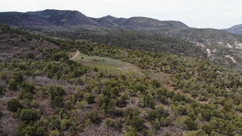 Copy of DJI_0569