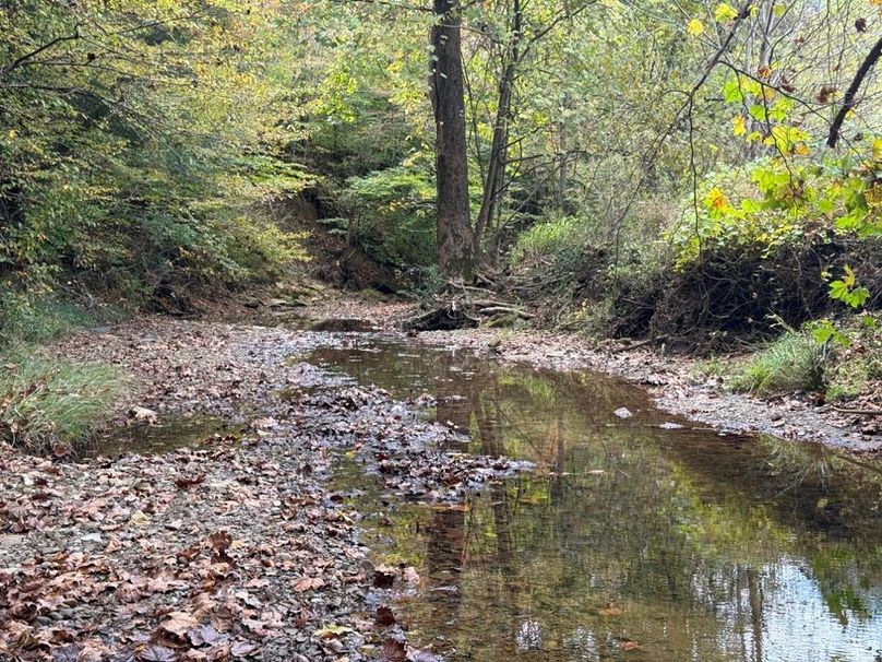 025 the blue line stream near the middle of the property