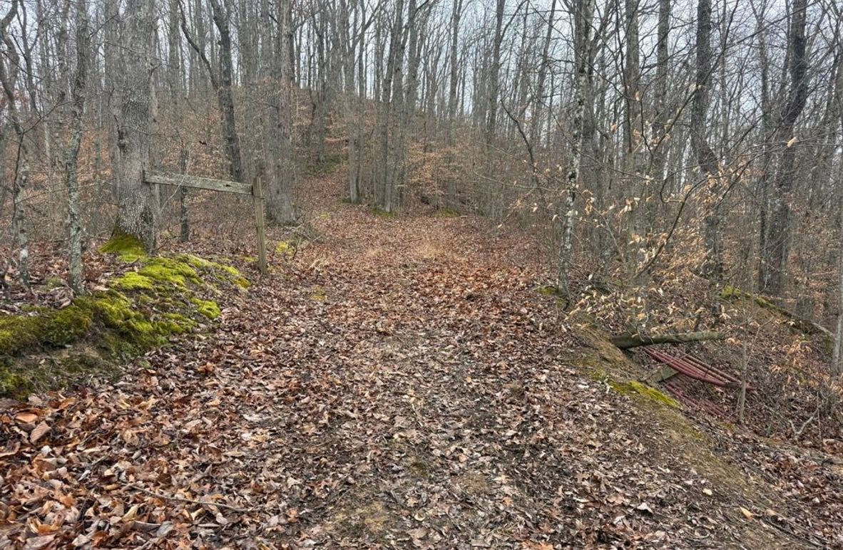 003 one of the many network of trails leading through the property