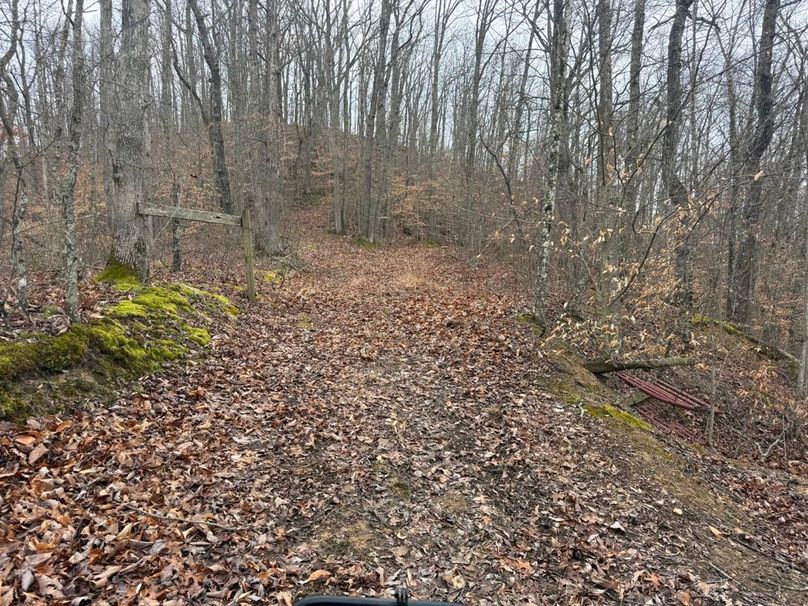 003 one of the many network of trails leading through the property