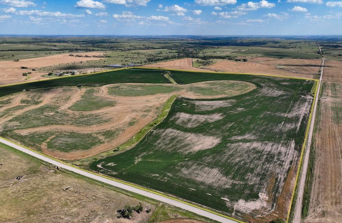 Mitchell Ks, 155.55_001