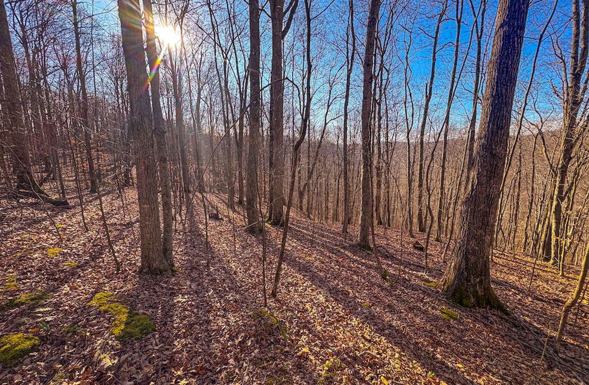 Lewis, WV 82.87 AC Barger-05