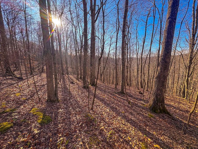 Lewis, WV 82.87 AC Barger-05