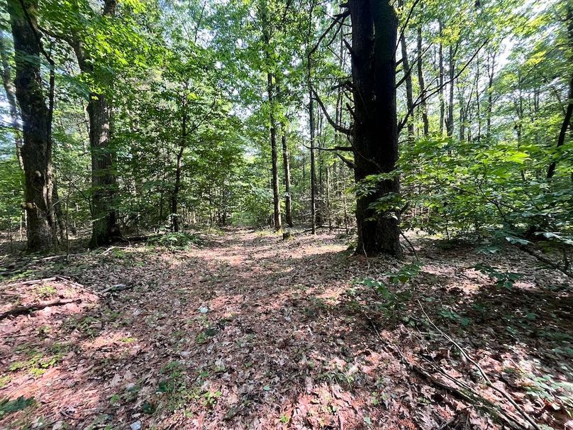 Oswego_22.46-Ross-French_Photos_23