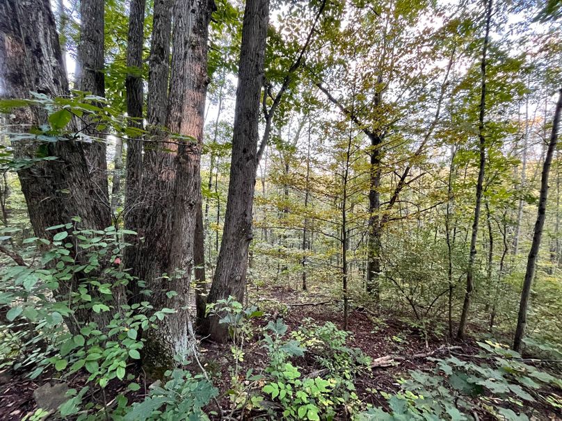 Tioga_20_Peters Photo 15