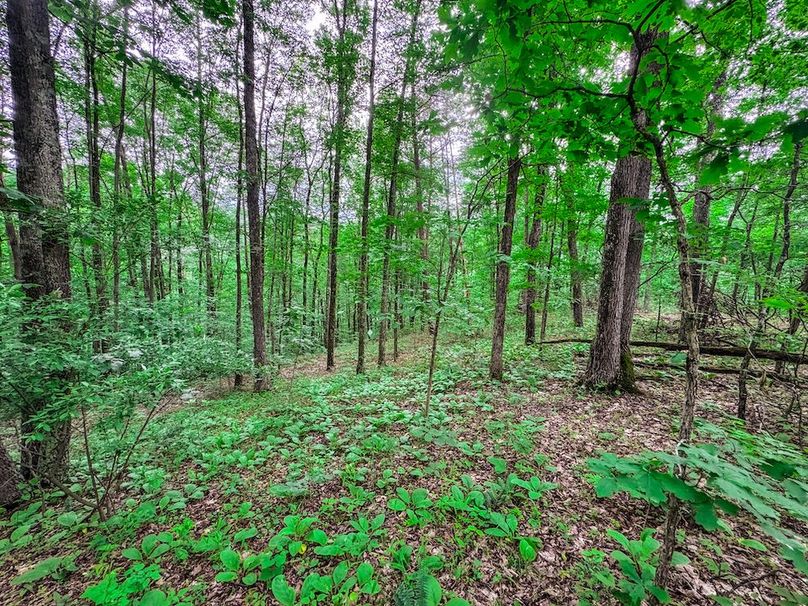Tyler, WV 313.87 AC -33
