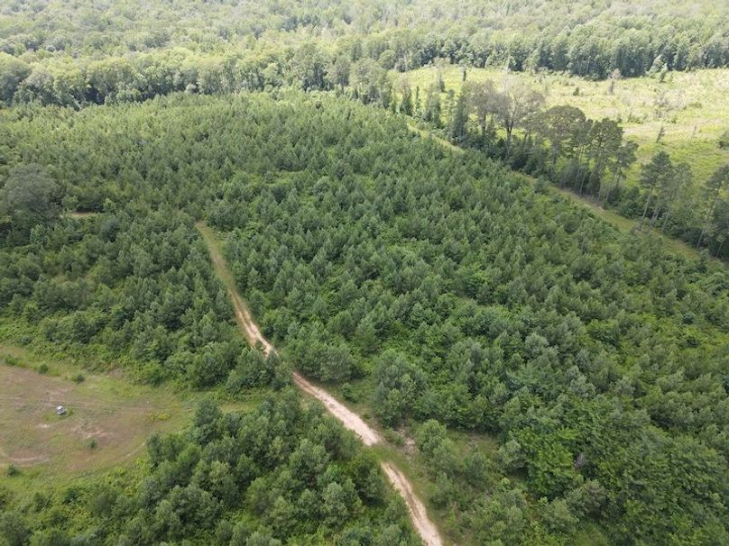 DJI_0362