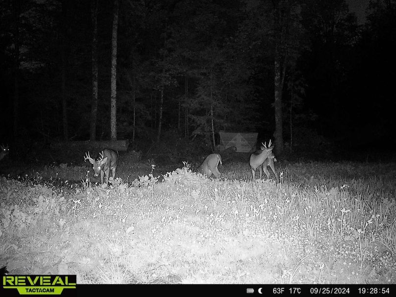 865814048724973-70-3-09252024192854-HD-W1010145