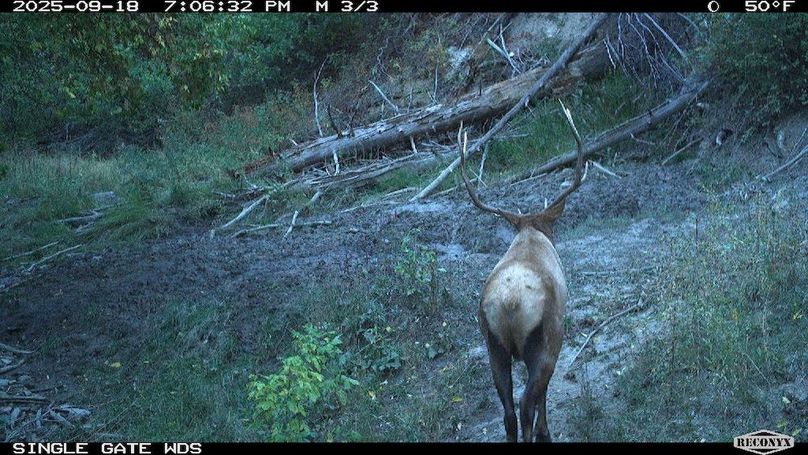 28BDC916-A22A-4E5A-9A89-97694554C231