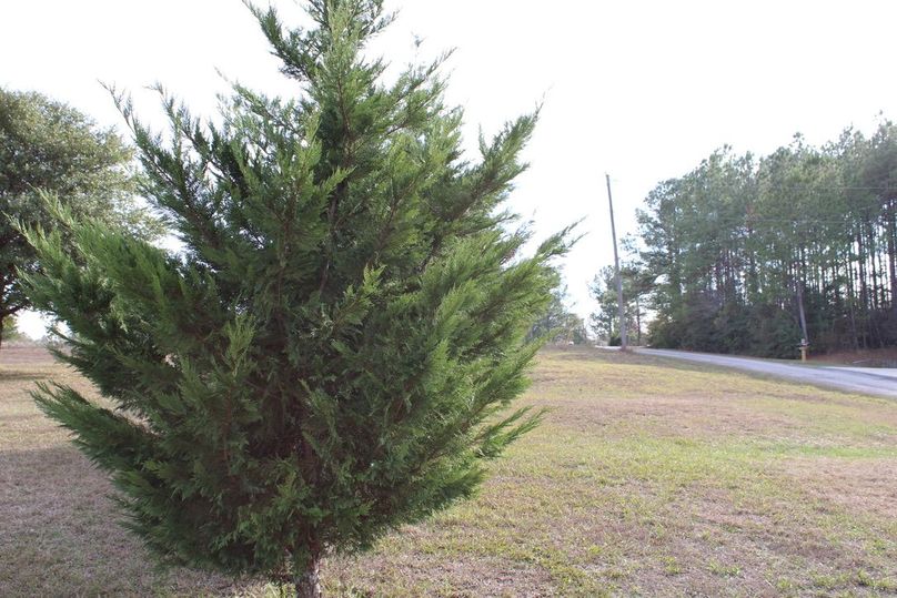 Small Tract In Sumrall School District With Awesome Home Site