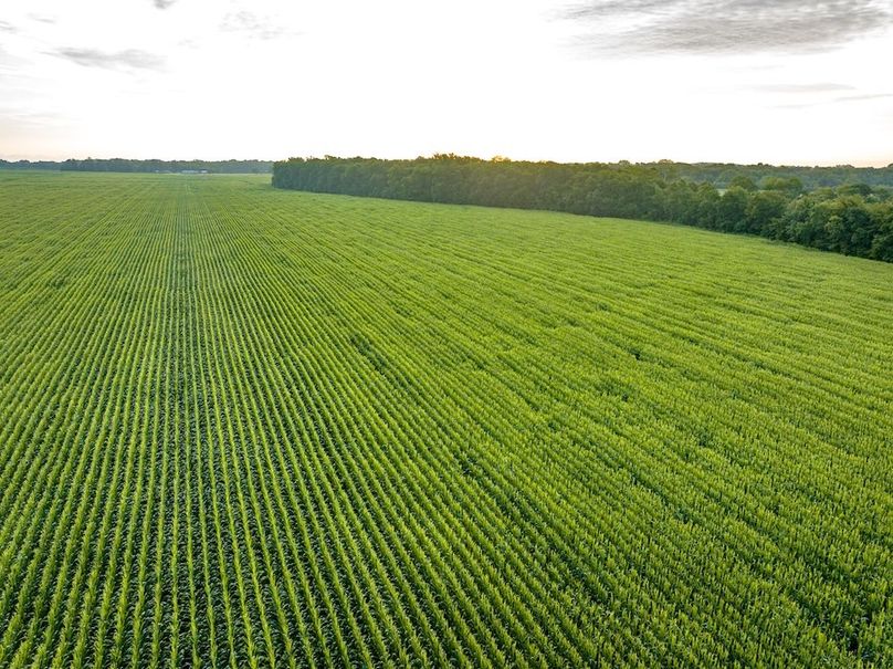 Copy of Noxubee 112.1 +- Tract 1-25