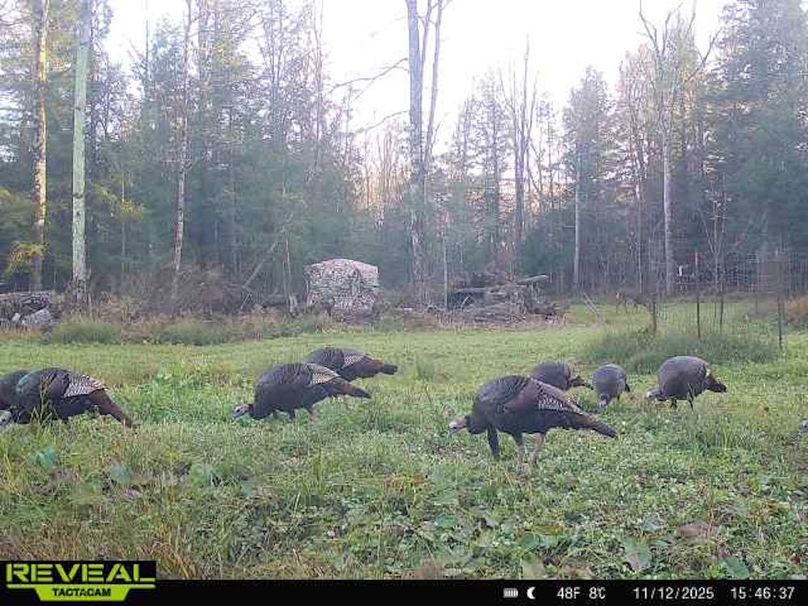 865814048724973-100-3-11122025154636-W1016124